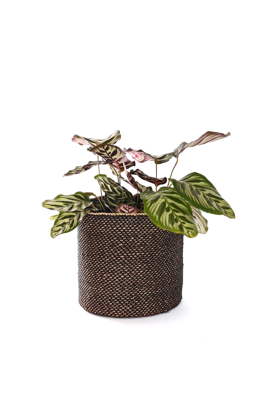 Black & Natural Variegated Iringa Basket - Small