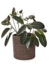 Black & Natural Variegated Iringa Basket - Medium