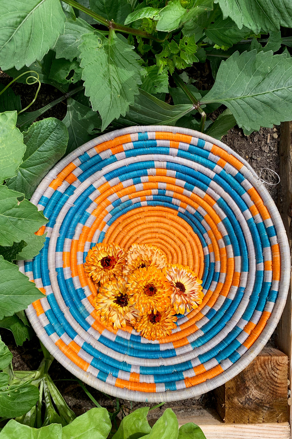 Ugandan Moon Mountains Raffia Coil Baskets