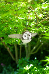 Recycled Metal Owl in Flight Hanging Sculpture