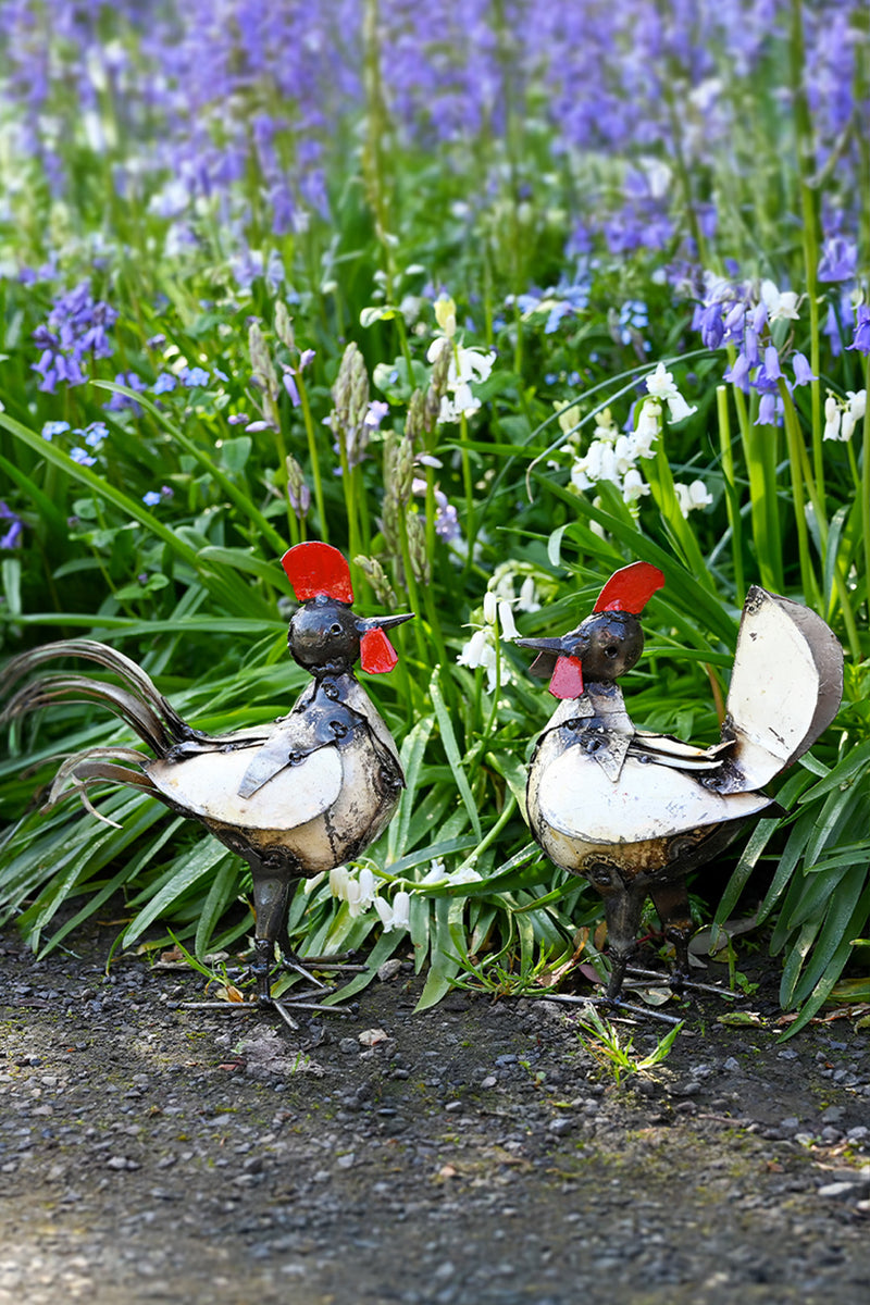 Small Recycled Metal Hen Sculpture