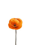 Orange Recycled Metal Poppy Garden Stake