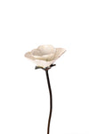 White Recycled Metal Poppy Garden Stake